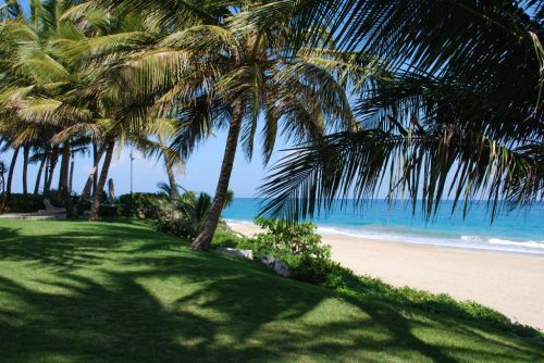 Bahia Residence - green area by beach