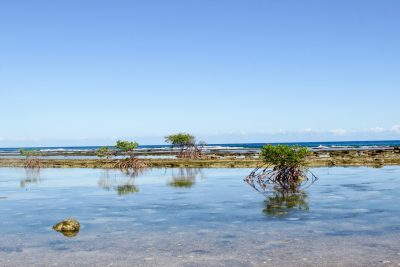 риф парка ламантинов доминиепнп