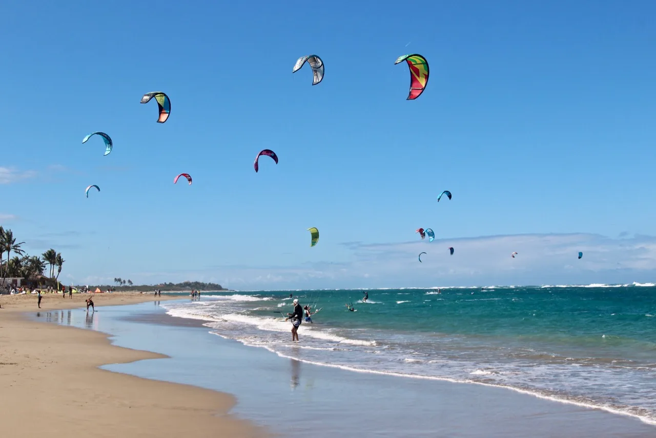 spot Kite Bich