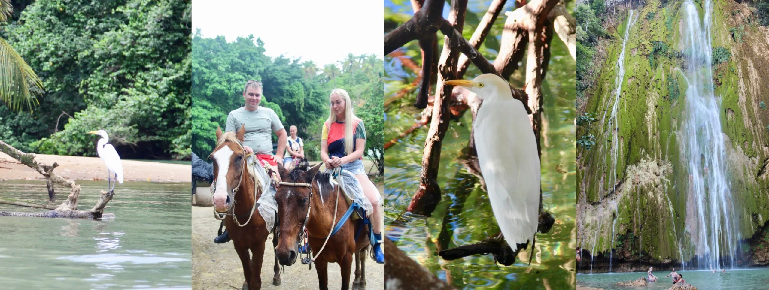 Excursion to El Limon waterfall, Samana.