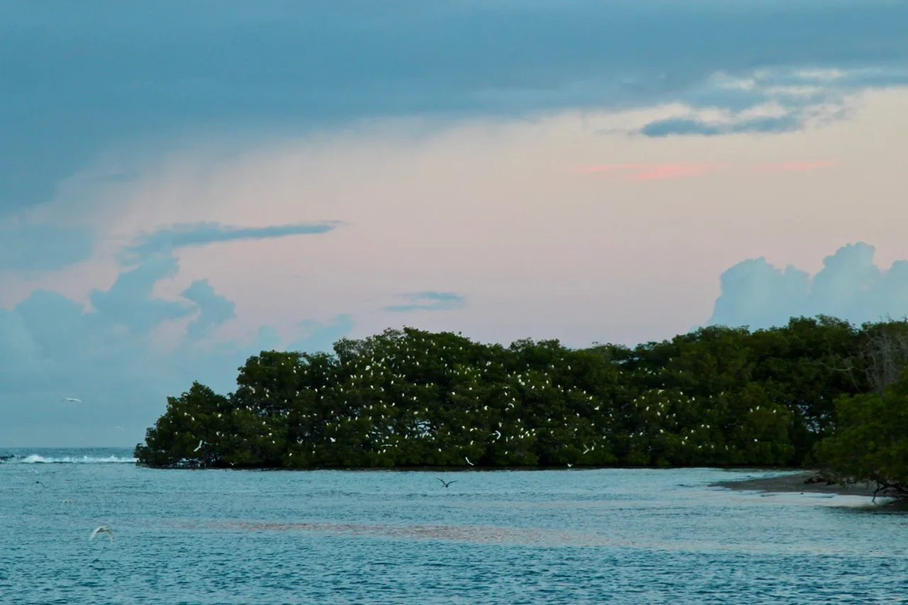 On the northern coast of the Dominican Republic