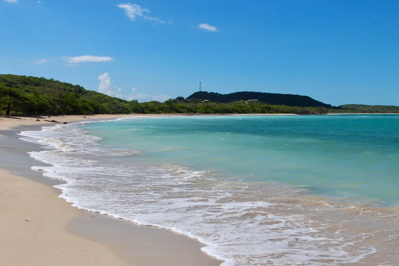 beach in manatee park